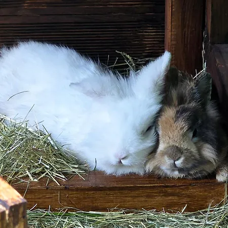 Hotel Hannover - Phil & Max Und Messe