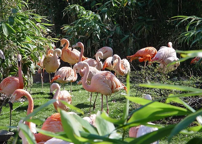 Hannover - Phil & Max Und Messe Laatzen